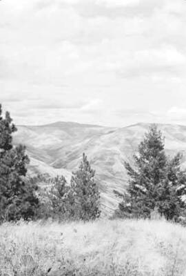 Image of unidentified mountains.