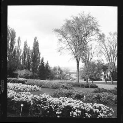 Looking northwest from Administration building on the University of Idaho Moscow campus.