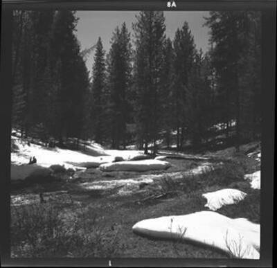 Scenic view of Slate Creek located near Staircase in the Olympic National Park in Washington State.