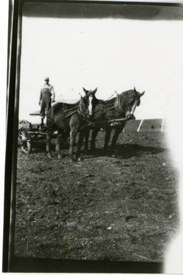 Lyle A Packard, a farmer, in his field in Genesee.