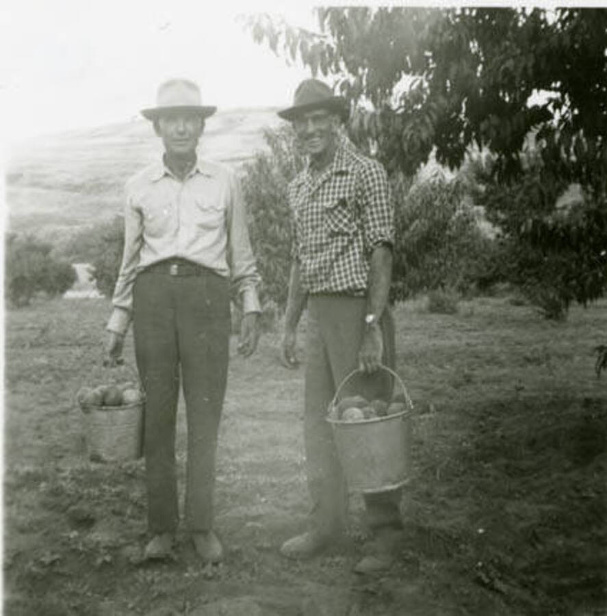 Jack Rogers with Lyle Packard each holding a bucket of fruit picked in the orchard.