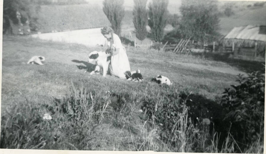Wilma with TIppy the dog and her puppies in the yard.