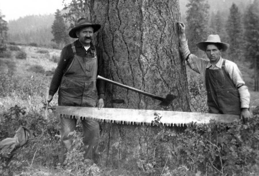 John Matthew and son Durell Irving Nirk stand with a saw preparing to fell timber.
