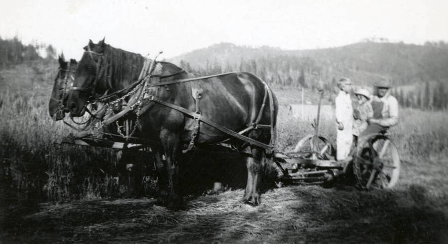 Edd with sons Lowell and Norman on horse-drawn tractor