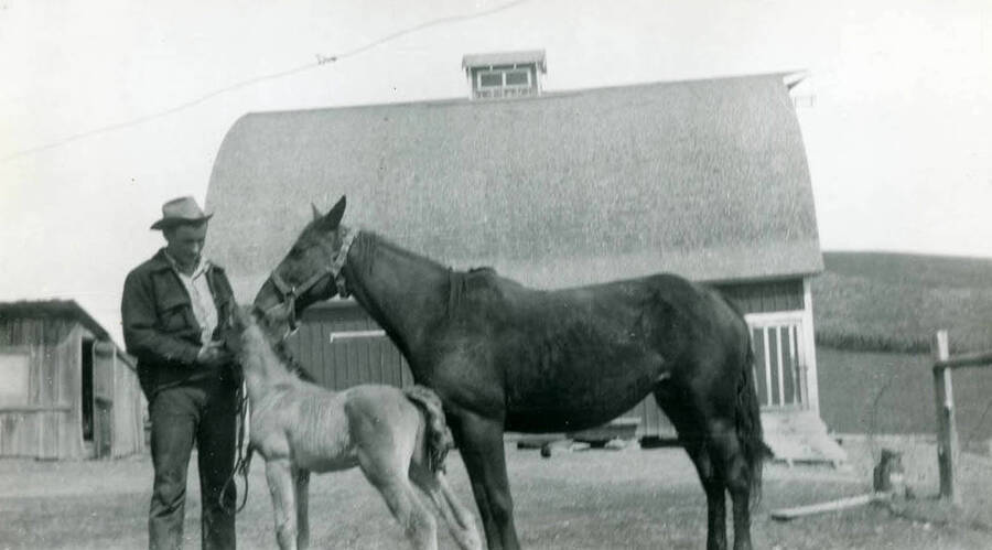 Lowell stands beside Rocket the horse with 5 day old colt