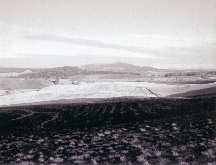 The Augir homestead as seen in 2003.