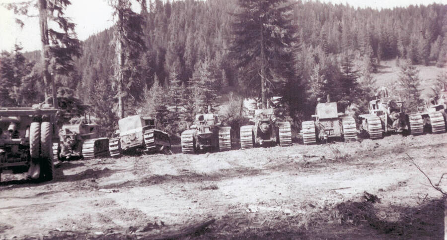 Rows of trucks are lined up waiting to be loaded with logs at Skid Cat's Camp 36 logging camp.