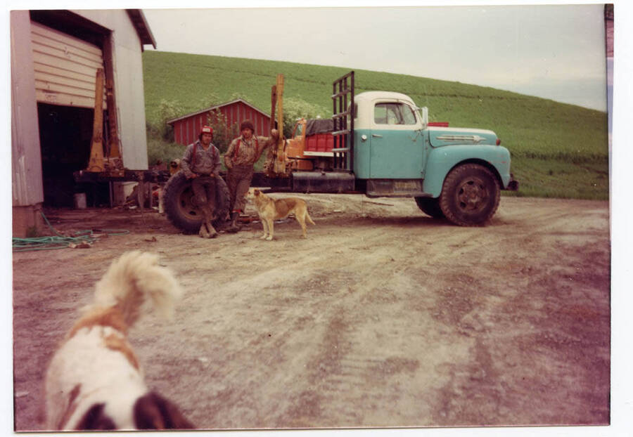Phillip Fleener and Kenny Lederman leaning against ""The Doodler"" (nickname) 1952 F7000 Ford truck purchased by Loyal Fleener. Fleener family dog ""Ug"" (short for Uggy, also known as Muffin) next to Kenny.  Fleener family dog, Tabitha in foreground. ""The Dog Face"" 1962 International tandem axel disel truck out of Seattle in background, driven to Fleener farm by Skip Briney. Peas in background on Fleener farm. Burt Ayer's old chicken house in background (red shed), used to store parts by Fleeners.
