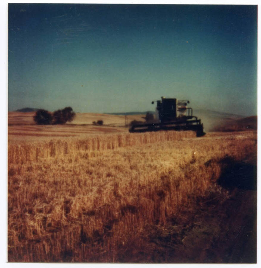 MH2 Combine at harvest.