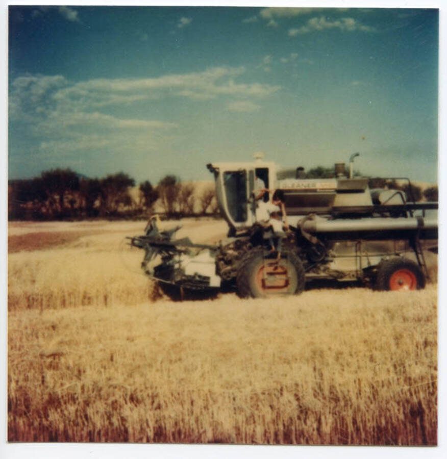 Looking east. Craig Fleener giving combine rides to Carol Fleener and unknown youth. Willow trees in background in draw of the fields were later removed by Craig Fleener.