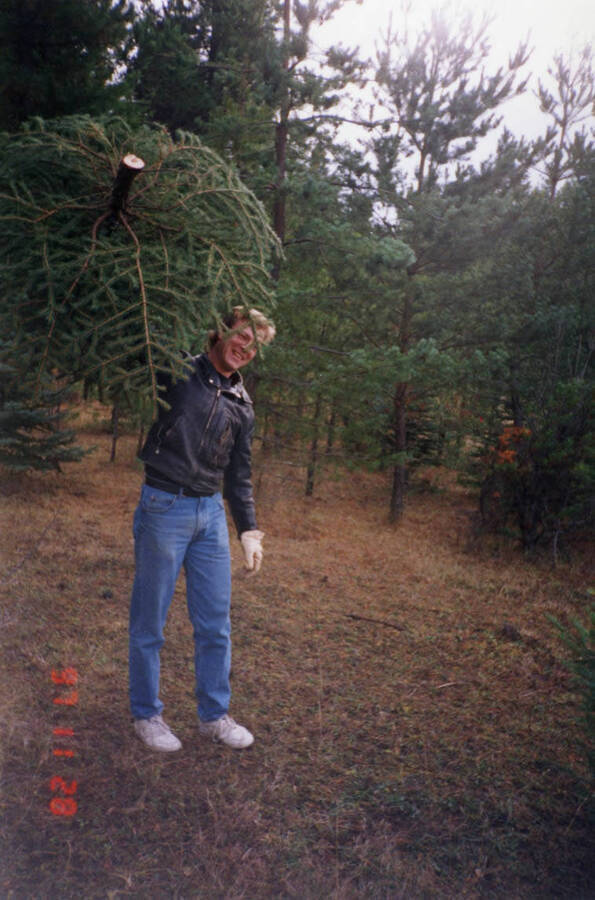 Lawrence Daniels holds the freshly cut tree from the annual family Christmas tree cutting tradition near Flannigan Creek in Viola, Idaho.