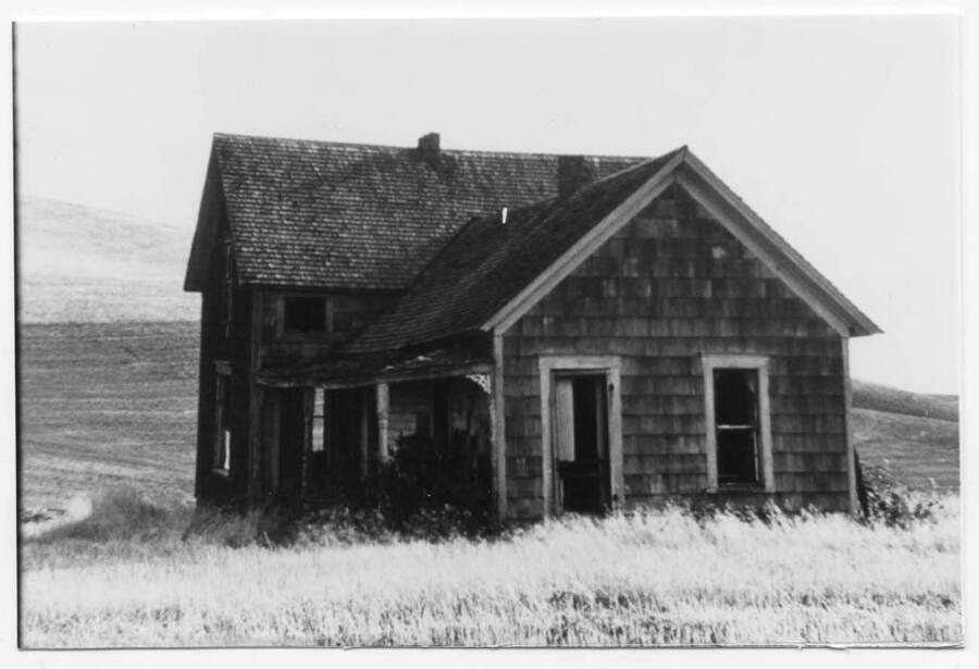 View of an abandoned home. Papers were found inside which were labeled ""Butterfield"", so this home is thought to have been occupied by the Butterfield family. The home was located at the end of present day Fleener road. There is also a hand-dug well right inside the front door, so that you would not have to go outside to hand pump your water. The structure was removed from Fleener property via fire by Phillip Fleener. The photo was taken while looking south, and the Alan Gillespie family field can be seen in the  background.