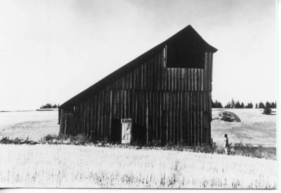 Photo taken from the abandoned Butterfield House facing north. The Fleeners bought the property in the background from Burt Ayer. A person can be seen standing to the right of the barn. The Guskie family farm land can also be seen in the extreme background. The piano that is currently in Fleener family possession was salvaged from this structure. The Fleener children would also play in this structure.