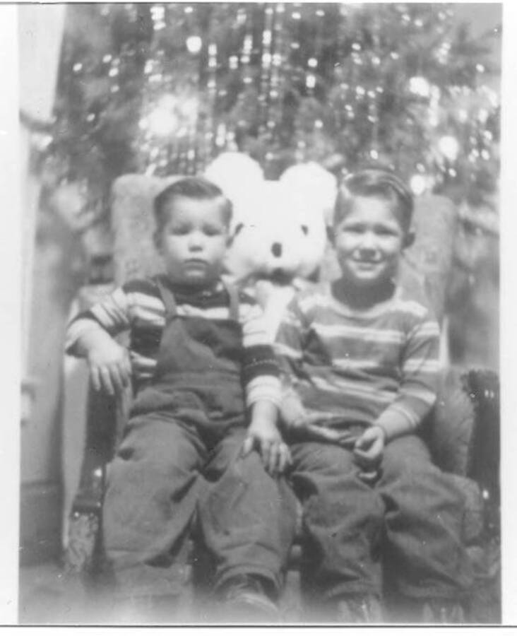 Tim and Craig Fleener posing for a Christmas photo. A stuffed bear can be seen between the two boys and a Christmas tree can be seen standing behind them.