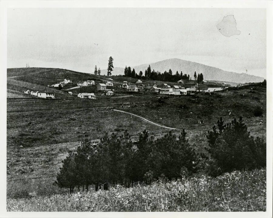 Landscape view of Princeton, ID with gold hill in the background