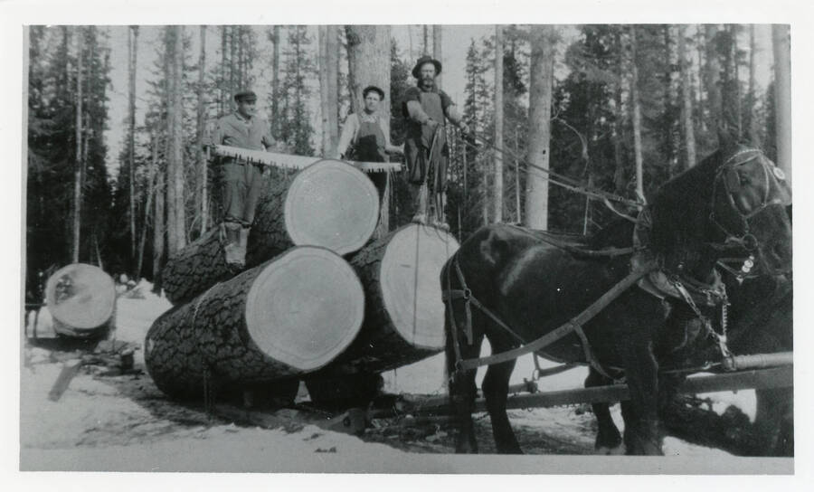 Photo of Ed Soncarty, Earnest Spets, and 'Dirty' Bill Tucker hauling logs near Alvah Strong's mill