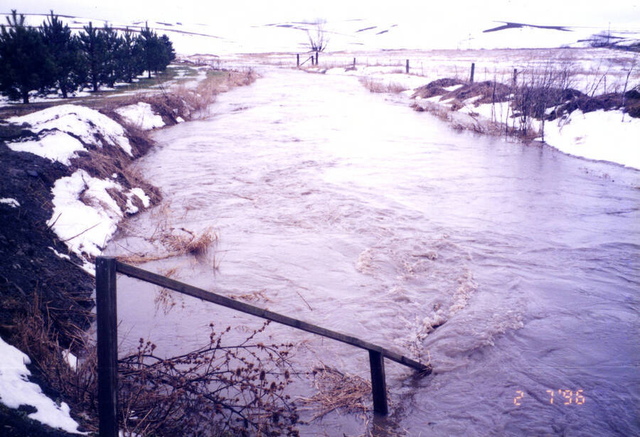 50 year flood February 7, 1996, looking west down Paradise Creek from Plant effluent pipes