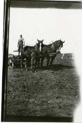 Lyle A Packard, a farmer, in his field in Genesee.