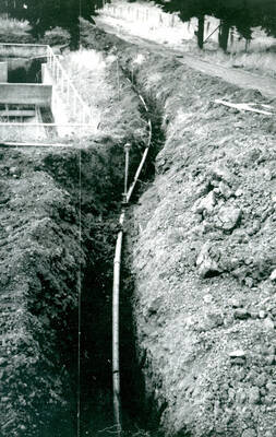 Repairing irrigation lines