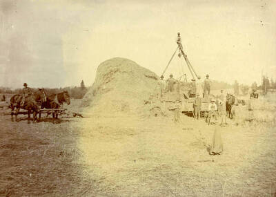 The Byseggers and crew with bales and piles of hay.