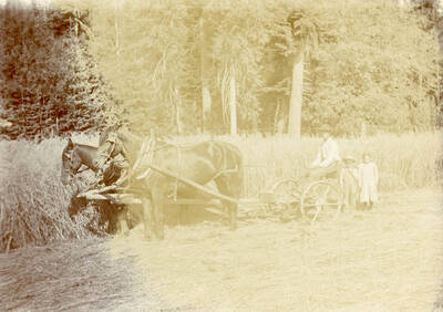 Charlie , Clara and Eddie Bysegger plowing with horse
