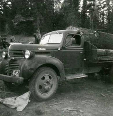 Roy and Max Davis logging at Meadow Creek