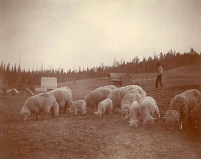 On the Bysegger homestead