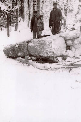 Edd Soncarty with sons Lowell and Norman. Cutting timber for home. Milled on site.