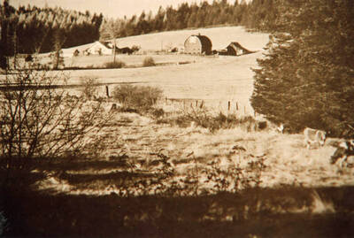 Looked this way until Spring of 1992 when Lowell built a new garage in Idah's old garden.
