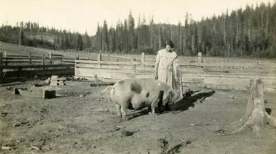 Ida raised hogs for the family and to sell