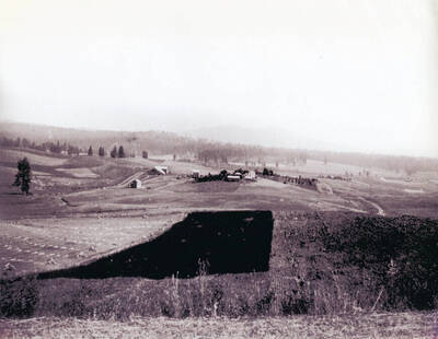 Harrison and Clarence Augir Homestead of 1877