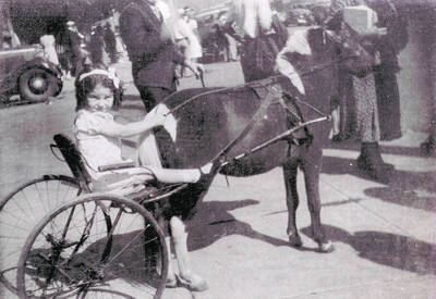 Venna Comstock sitting in a wheeled chair, which is hooked up to a horse.
