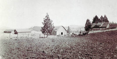 McManama Place Fritz Leistner digging potatoes about 1920