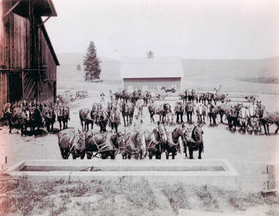 Louie Gilmore's outfit. In 2017 owned by Fred Rohn. Located west of Potlatch.