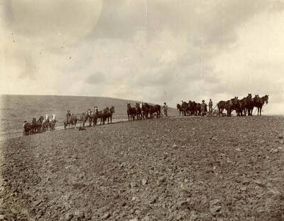 Crews getting ready to till the fields for the winter. Vern Clark is pictured in the middle of the photograph.