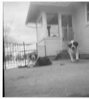 Deafy (nickname, derived from a Latin name from a character in Marva Joyce Fleener's childhood Latin textbook) and Tabitha.