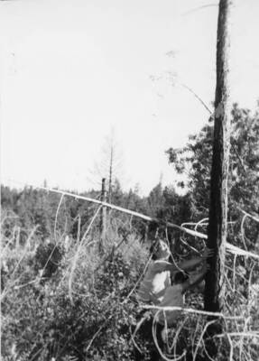 Tim and Phillip Fleener exploring the area on the Selway trip.