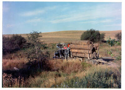 Logs from "the picnic area" at the edge of the Fleener property (old Burt Ayer property) at end of present day Fleener Road.
