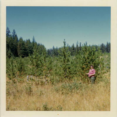 Orelia Kelly standing in a field backed by pine trees.