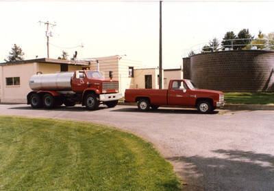 Old Plant, 1985 or 86