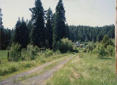 Photo of the Katzenberger place where we lived, taken from the highway. We lived here from 1958-1967. Taken May 16, 1987.