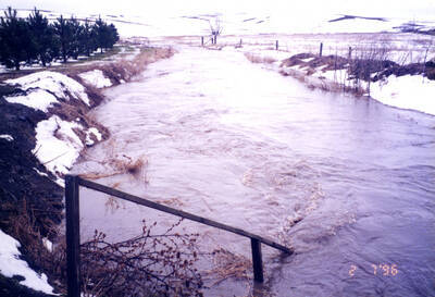 50 year flood February 7, 1996, looking west down Paradise Creek from Plant effluent pipes