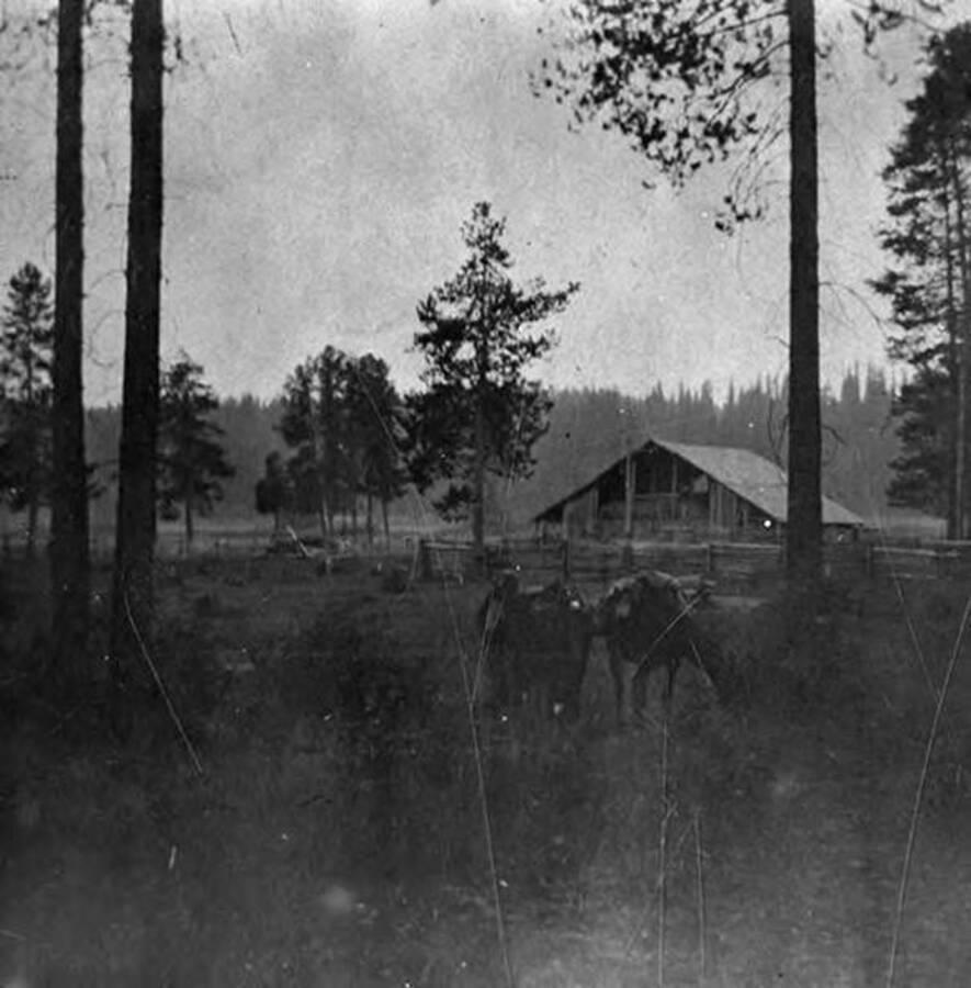 Two horses stand outside a barn located in a meadow surrounded by trees.