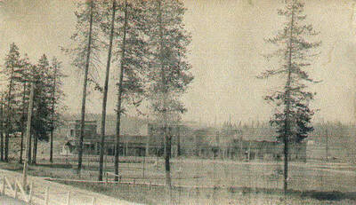 The city of Bovill behind a group of trees.