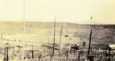 Miller farm on the east fork of the Potlatch River, looking across Little Meadow.