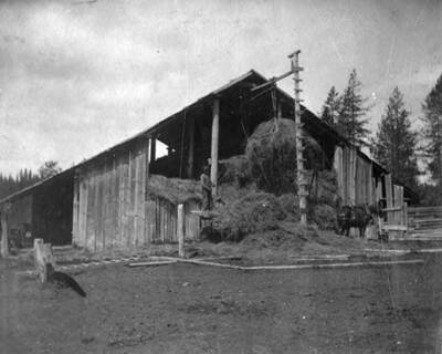 Lift fork moving hay into Bovill's main barn.