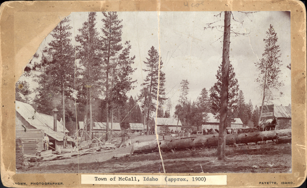 Town of McCall approx. 1900, with a view of a tree fallen down, new buildings under construction and Lake Saloon in the background. Image contains the text: "Town of McCall, Idaho  approx 1900 PAYETTE, IDAHO. TOWN, PHOTOGRAPHER."