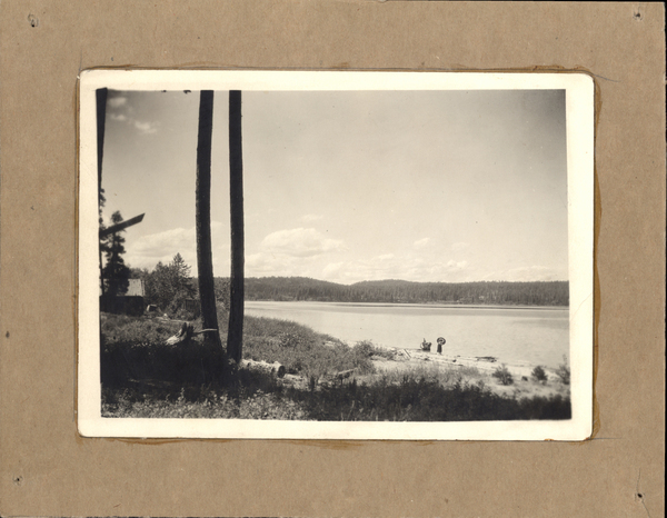 attached to a piece of cardboard the photo is a view of the lake with two pines in the foreground, by the shore there is a women on a log