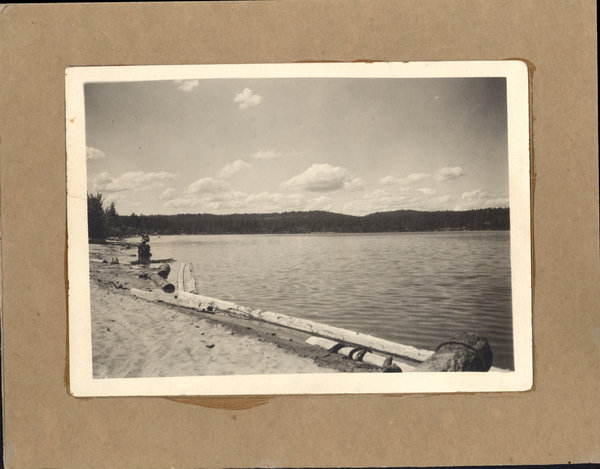 View of the lake, taken from the shoreline, there are several logs in the water, to the side in the background there is a women with an umbrella sitting on a stump