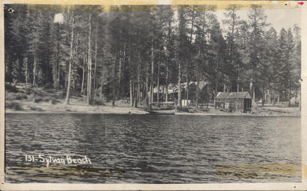 Original postcard with a photo taken from the lake and in the frame there is a boat along with cabins on the shoreline. Image contains the text: "131 Sylvan Beach"